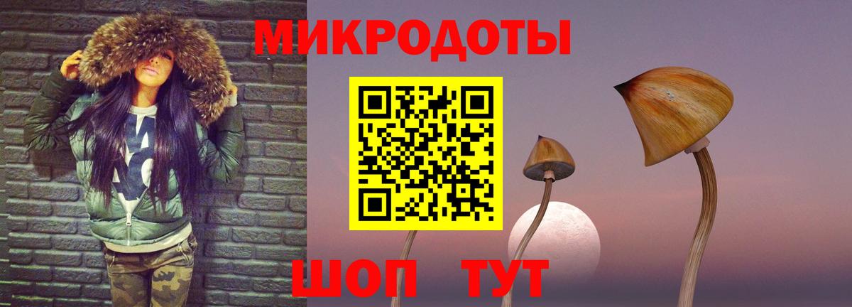 Усть-Илимск  Галлюциногенные грибы Psilocybe  Псилоцибиновые грибы прущие грибы  Вход с VPN 